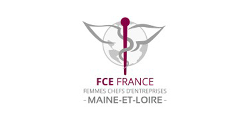 logo FCE france